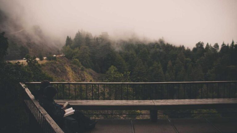 How To Use Cricbet99 Club M Login Portal?